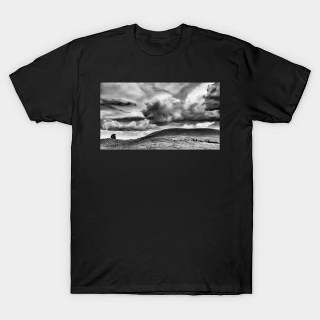 North Park Ponderosa T-Shirt by ElevatedCT